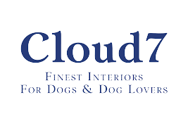 Cloud 7