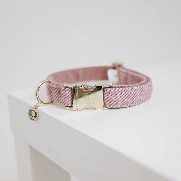 Kentucky Dogwear Hundehalsband Wool Kentucky Dogwear Hundehalsband Wool