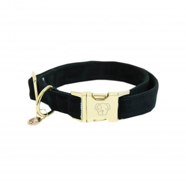 Kentucky Dogwear Hundehalsband Corduroy Halsband Kentucky Dogwear Hundehalsband Corduroy Halsband